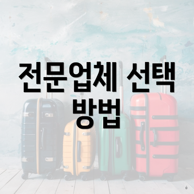 전문업체 선택 방법