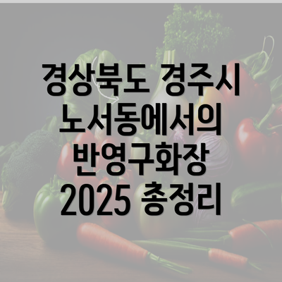 경상북도 경주시 노서동에서의 반영구화장 2025 총정리