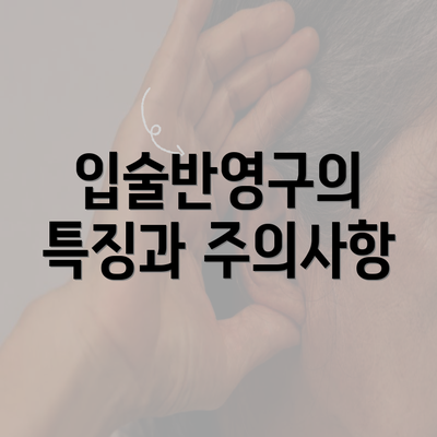 입술반영구의 특징과 주의사항