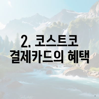 2. 코스트코 결제카드의 혜택