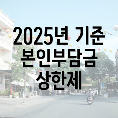 2025년 기준 본인부담금 상한제