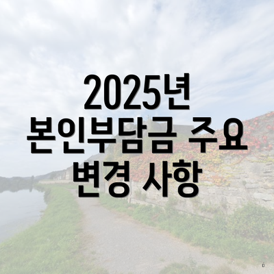 2025년 본인부담금 주요 변경 사항