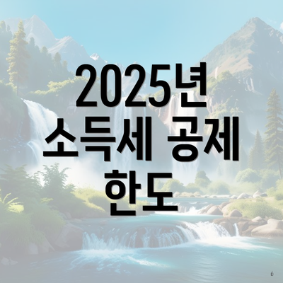 2025년 소득세 공제 한도