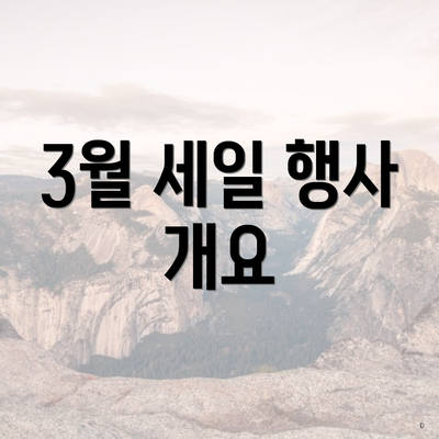 3월 세일 행사 개요