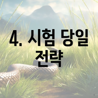 4. 시험 당일 전략