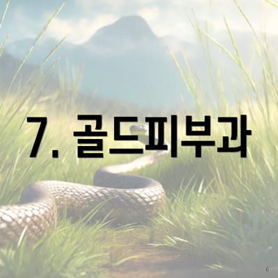 7. 골드피부과