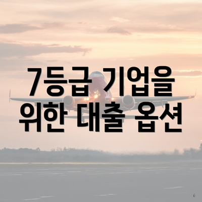 7등급 기업을 위한 대출 옵션
