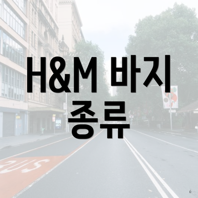 H&M 바지 종류