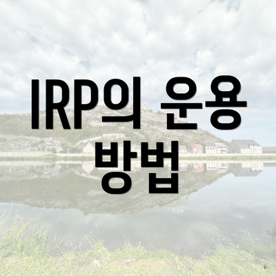 IRP의 운용 방법