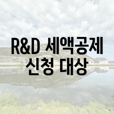R&D 세액공제 신청 대상