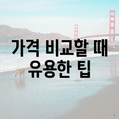 가격 비교할 때 유용한 팁