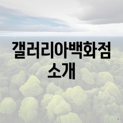 갤러리아백화점 소개