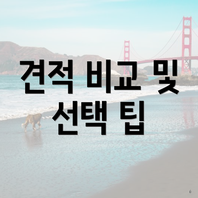 견적 비교 및 선택 팁