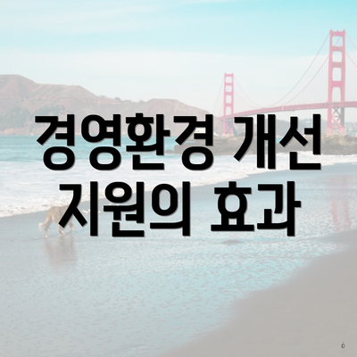 경영환경 개선 지원의 효과