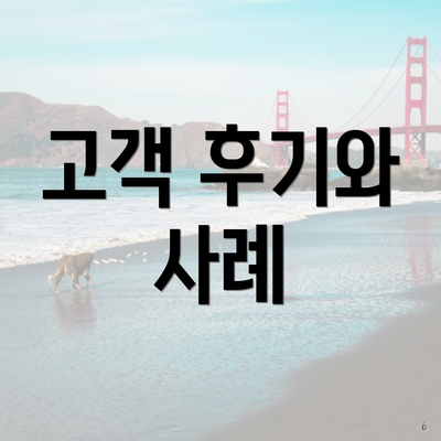 고객 후기와 사례