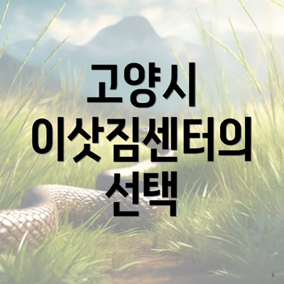 고양시 이삿짐센터의 선택