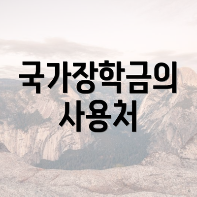 국가장학금의 사용처