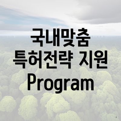 국내맞춤 특허전략 지원 Program