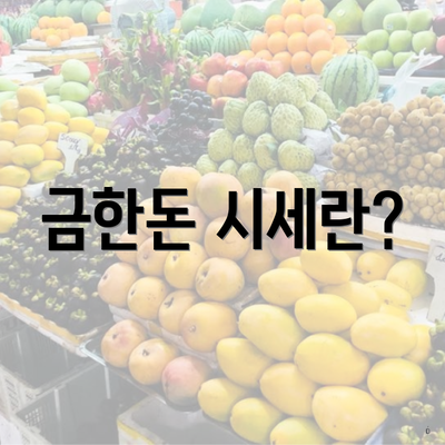 금한돈 시세란?