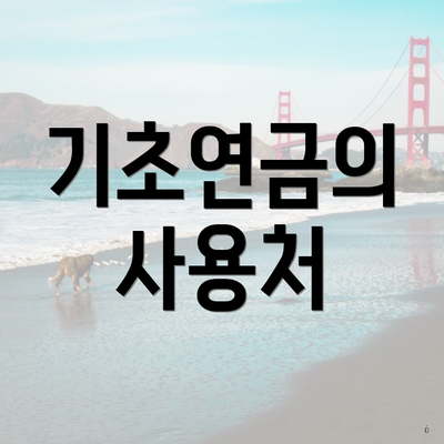기초연금의 사용처