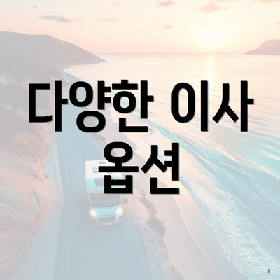 다양한 이사 옵션