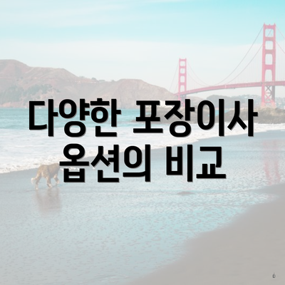 다양한 포장이사 옵션의 비교
