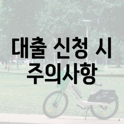 대출 신청 시 주의사항