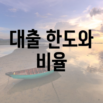 대출 한도와 비율