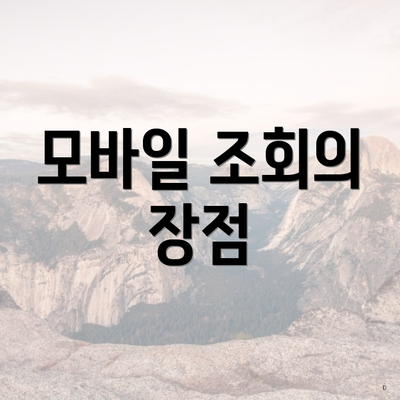 모바일 조회의 장점