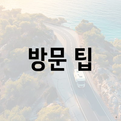 방문 팁