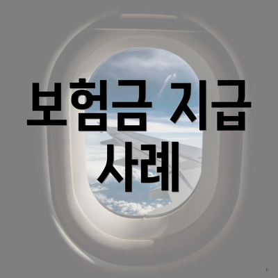 보험금 지급 사례