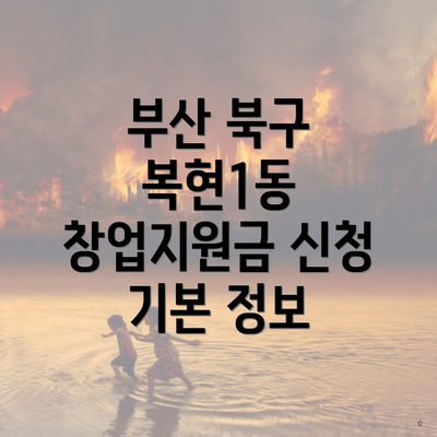 부산 북구 복현1동 창업지원금 신청 기본 정보