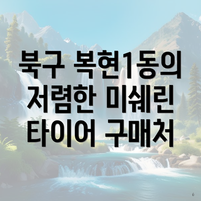 북구 복현1동의 저렴한 미쉐린 타이어 구매처