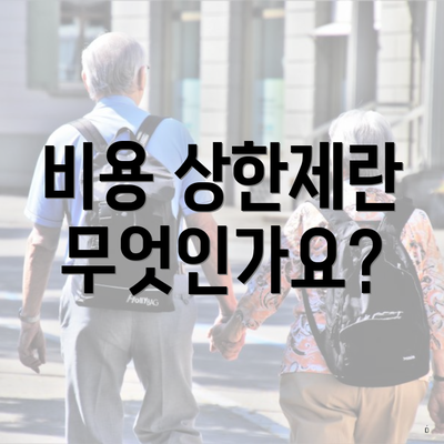 비용 상한제란 무엇인가요?