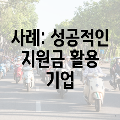 사례: 성공적인 지원금 활용 기업