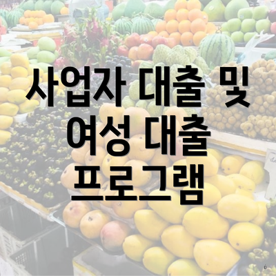 사업자 대출 및 여성 대출 프로그램