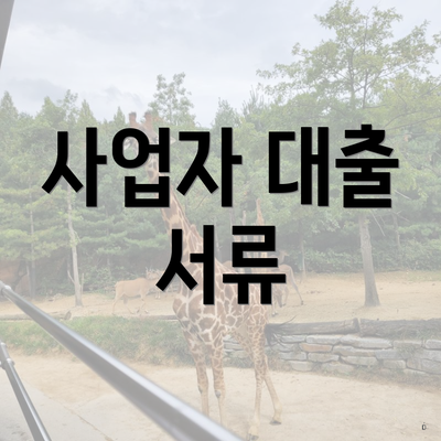 사업자 대출 서류