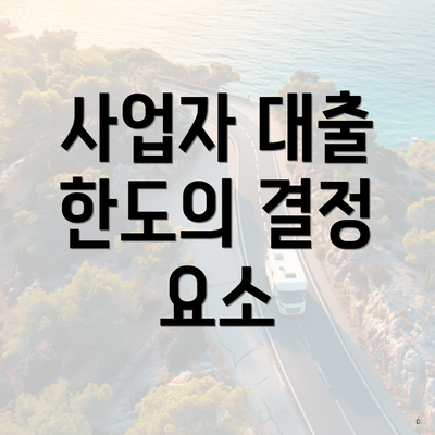 사업자 대출 한도의 결정 요소