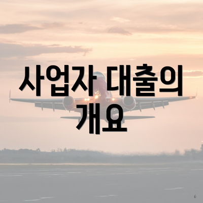 사업자 대출의 개요