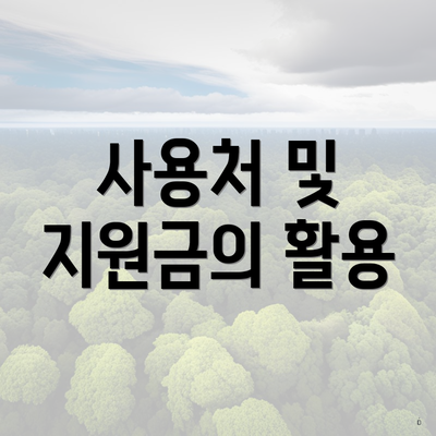 사용처 및 지원금의 활용