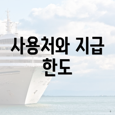 사용처와 지급 한도