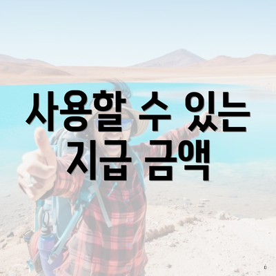 사용할 수 있는 지급 금액