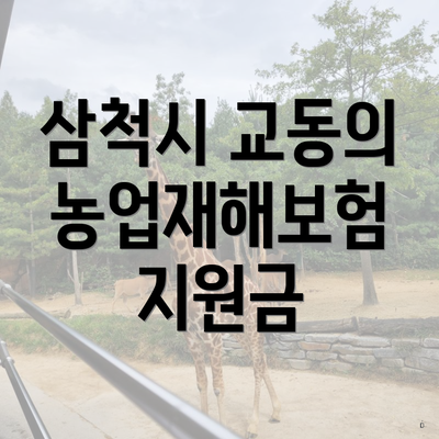 삼척시 교동의 농업재해보험 지원금