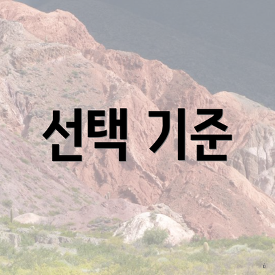 선택 기준