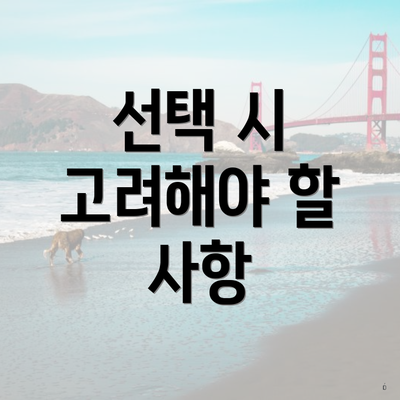 선택 시 고려해야 할 사항