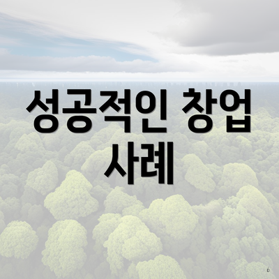 성공적인 창업 사례