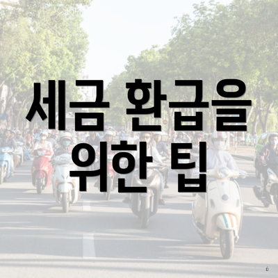 세금 환급을 위한 팁