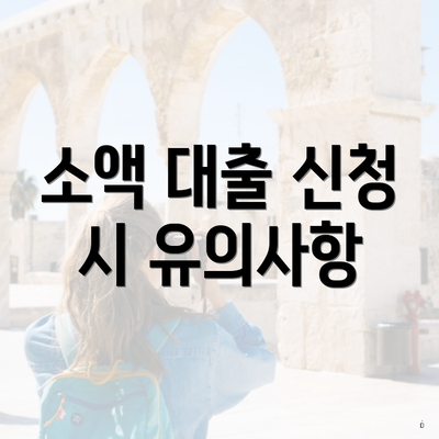 소액 대출 신청 시 유의사항