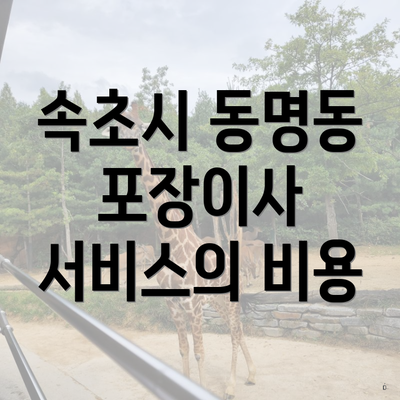 속초시 동명동 포장이사 서비스의 비용
