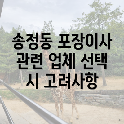 송정동 포장이사 관련 업체 선택 시 고려사항